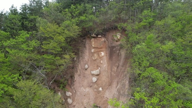 경주 토함산 석굴암 위쪽에 산사태가 발생한 모습. /사진=녹색연합 제공, 연합뉴스