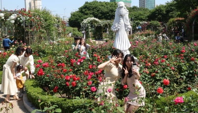 [뉴스 한줌] 서울에서 1000만송이 장미꽃을 볼 수 있다?