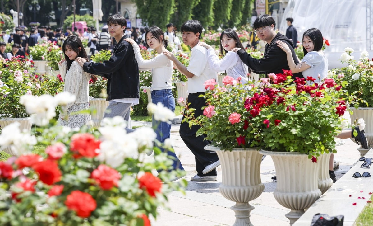 17일 오전 경기 용인시 에버랜드 장미원에서 열린 장미축제를 찾은 시민들이 활짝 핀 장미 배경으로 사진을 찍고 있다.