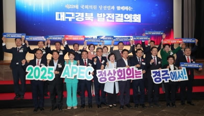 '가장 한국적인 역사문화도시' 경주, APEC 경주유치 공감대 확산