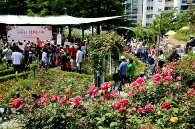 서울 장미명소 ‘대현산 장미원’에서 25일 성동구 축제[메트로]