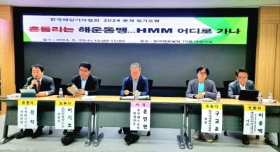 “HMM, 민간+공공 소유로 재매각해야” 해양기자협 춘계 포럼서 제안