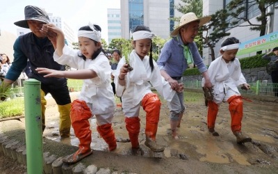 [포토] 농협중앙회장, 야외농장에서 어린이들과 전통 모내기 체험