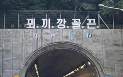 "읽다 사고나겠다"…'꾀·끼·깡·꼴·끈' 터널 앞 '괴문자' 논란