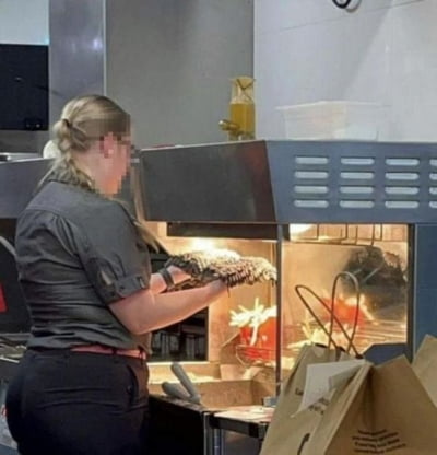 감자튀김기 열기에 대걸레 말렸다…호주 맥도날드서 발생한 일