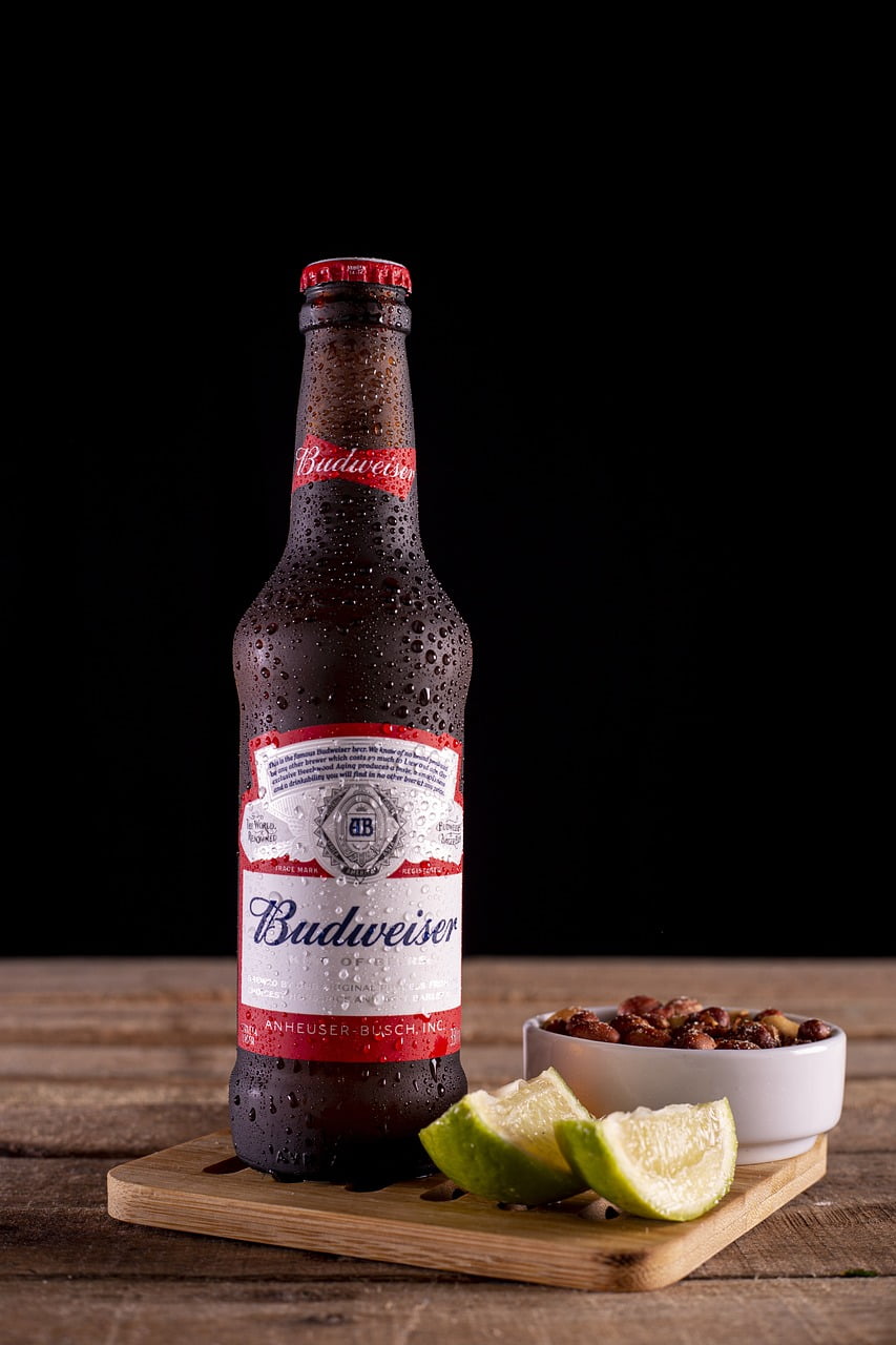 버드와이저(Budweiser) 맥주