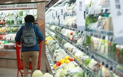알리·테무덕?…4월 韓유통 매출 10.8% 증가