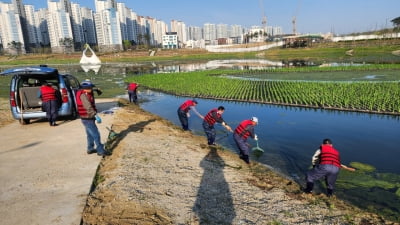 평택시, 함박산 중앙공원 저류지 환경개선 나서