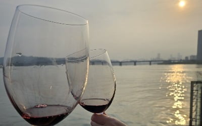 "비싼 와인 무제한으로 마신다"…MZ 애주가 '우르르' 몰린 곳