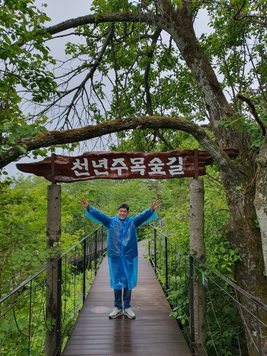 맹주혁 팀장이 천년주목숲길을 설명하고 있다. 평창=윤현주 기자