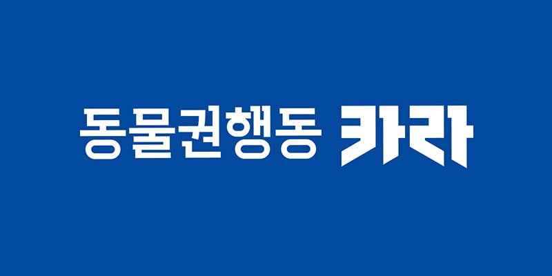 사진=카라 홈페이지