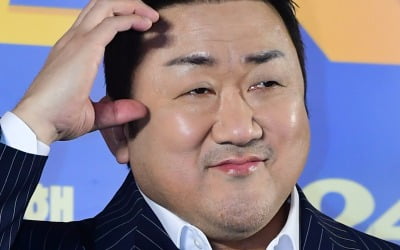 '43억 전액 현금 매입'…마동석, 청담동 고급빌라 주인이었다