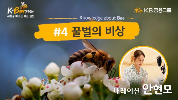 KB금융, 세계 벌의 날 맞아 K-BEE 프로젝트 영상 캠페인 4탄 ‘꿀벌의 비상’ 편 공개