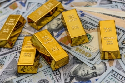 '이란 대통령 사망'에 들썩이는 시장…금·구리값 역대 최고