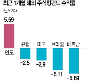 美·日 줄줄이 마이너스인데…인도 펀드, 나홀로 고공행진