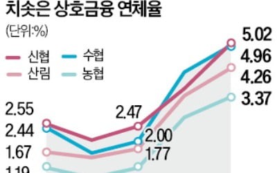 [단독] 농·수·신협 '작업대출' 전면조사 나선다