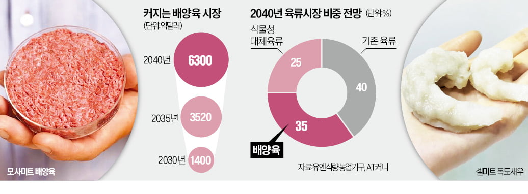 3D 프린터로 소고기 찍어낸다…'식탁 데뷔' 앞둔 배양육