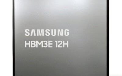 HBM·SSD 봄바람에 메모리반도체 '활짝'