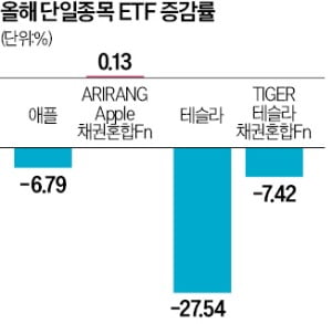 애플·테슬라 더 떨어질까 걱정?…단일카지노 잭팟 금액 ETF로 방패 챙긴다