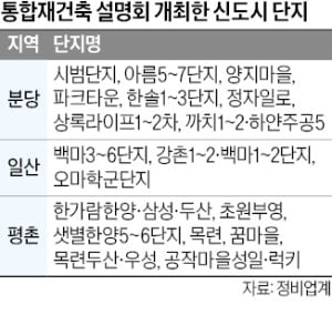 1기 신도시로 조성된 경기 성남시 분당아파트 단지.  한경DB 