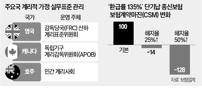 '고무줄 논란' 보험사 회계, 실무표준 나온다