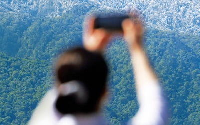 [포토] 지리산에 핀 ‘5월 눈꽃’