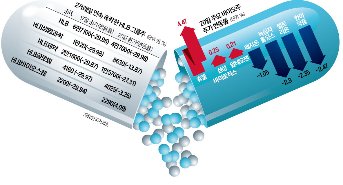 HLB 쇼크…되살아나던 바이오株에 불똥