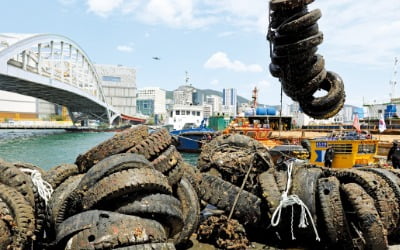 [사진으로 보는 세상] 바다에 쌓인 폐타이어 쓰레기