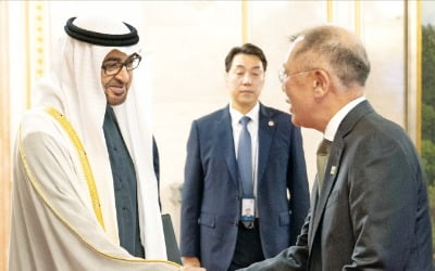UAE 대통령 만난 정의선…미래車 사업 집중 논의