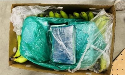 콜롬비아서 배달된 바나나 상자에 코카인 190kg 발견