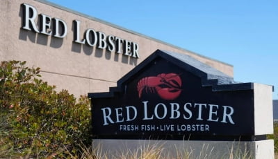 미국 최대 해산물<br>외식업체 '레드랍스터' 파산