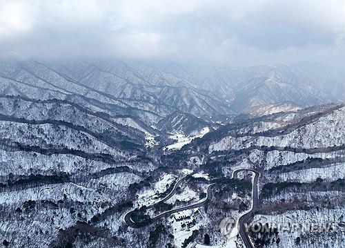 강원을 특별하게 만든다…산림이용진흥지구 제도 내달 본격 시행