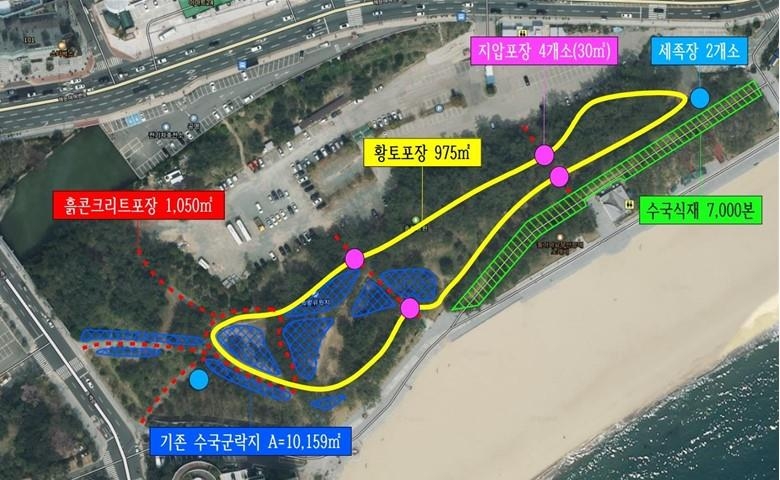 부산 해운대해수욕장 송림공원에 650ｍ 수국 황톳길 조성