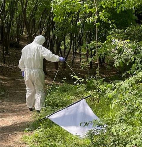 대구시, 공원 진드기에 라임병 병원체 발견…주의 요청