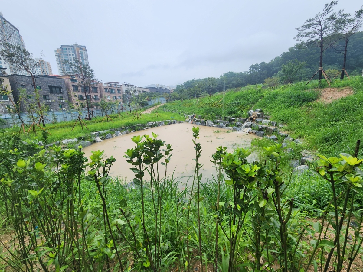 청주 우암산근린공원 준공…멸종위기종 서식지 등 조성