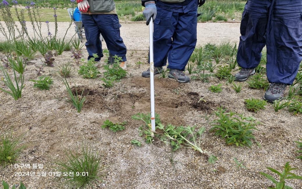 '시민이 만든 국가정원인데'…울산 태화강 식물 도난·훼손 빈발