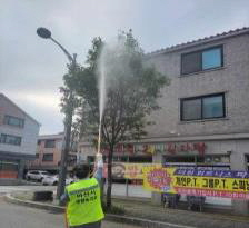 아산시, 가로수 돌발해충 '미국흰불나방' 선제적 방제 추진