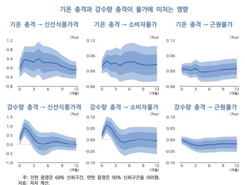 KDI "물가에 기온보다 강수량 충격 커…근원물가엔 영향 미미"