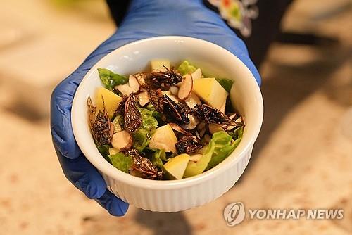 김치에 매미를?…미국 221년만의 '매미겟돈'에 매미 요리도 주목