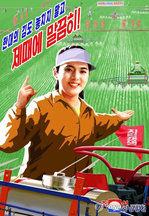 '농업의 과학화' 사활 건 북한, 온실 볏모 확대 시도