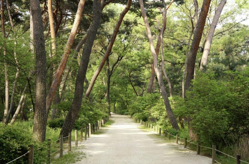 경복궁·성산일출봉 등 76곳, 15일부터 닷새간 '무료 개방'