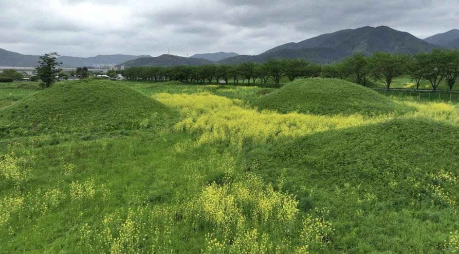 '금으로 된 자' 전설 내려오는 경주 금척리 고분군, 발굴 조사