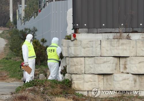 행안부, 아프리카돼지열병 발병 철원군 긴급 대응태세 점검