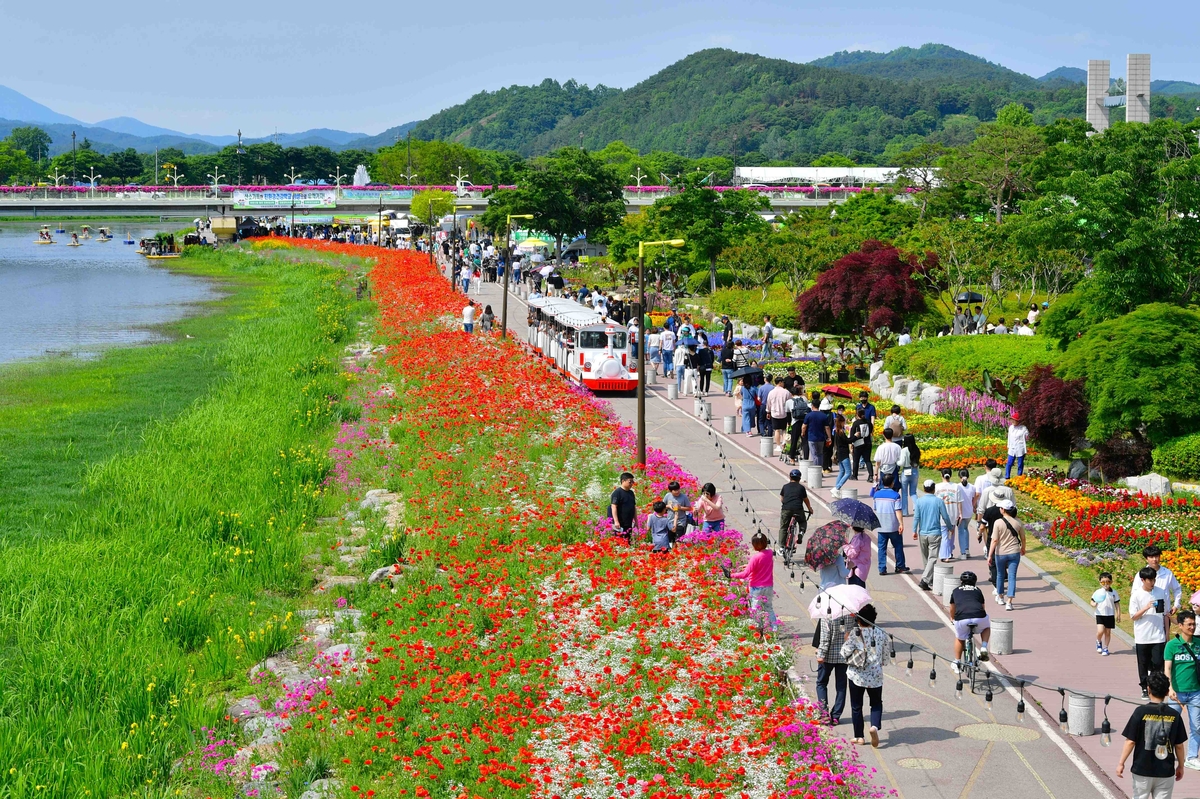 장성 황룡강 길동무 꽃길축제 24일 개막