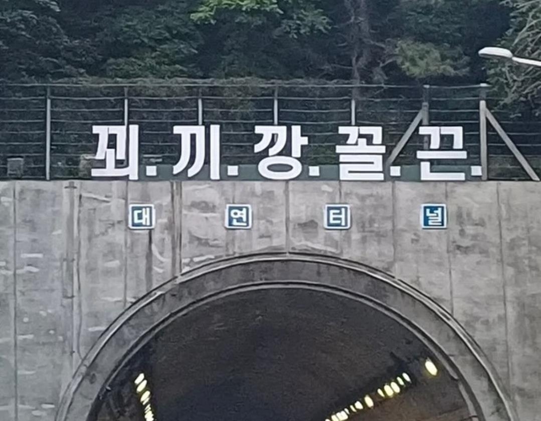 부산도시고속 터널 위 '꾀끼깡꼴끈' 정체불명 문구 시민 황당