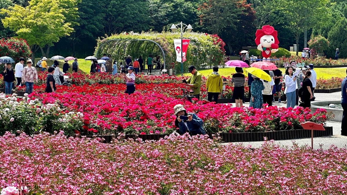 울산에 활기·향기를…SK이노·울산이 피워낸 '300만송이 장미'