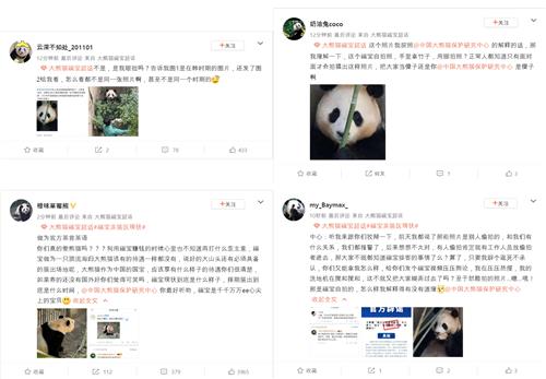 中네티즌들, '푸바오 처우 열악' 의혹 제기…당국 "사실무근"