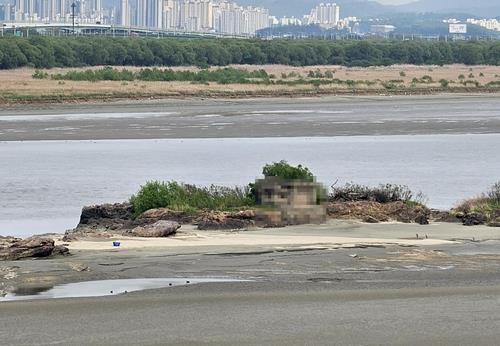 김포 한강 무인도, '독도' 이름 되찾았다…공식 지정