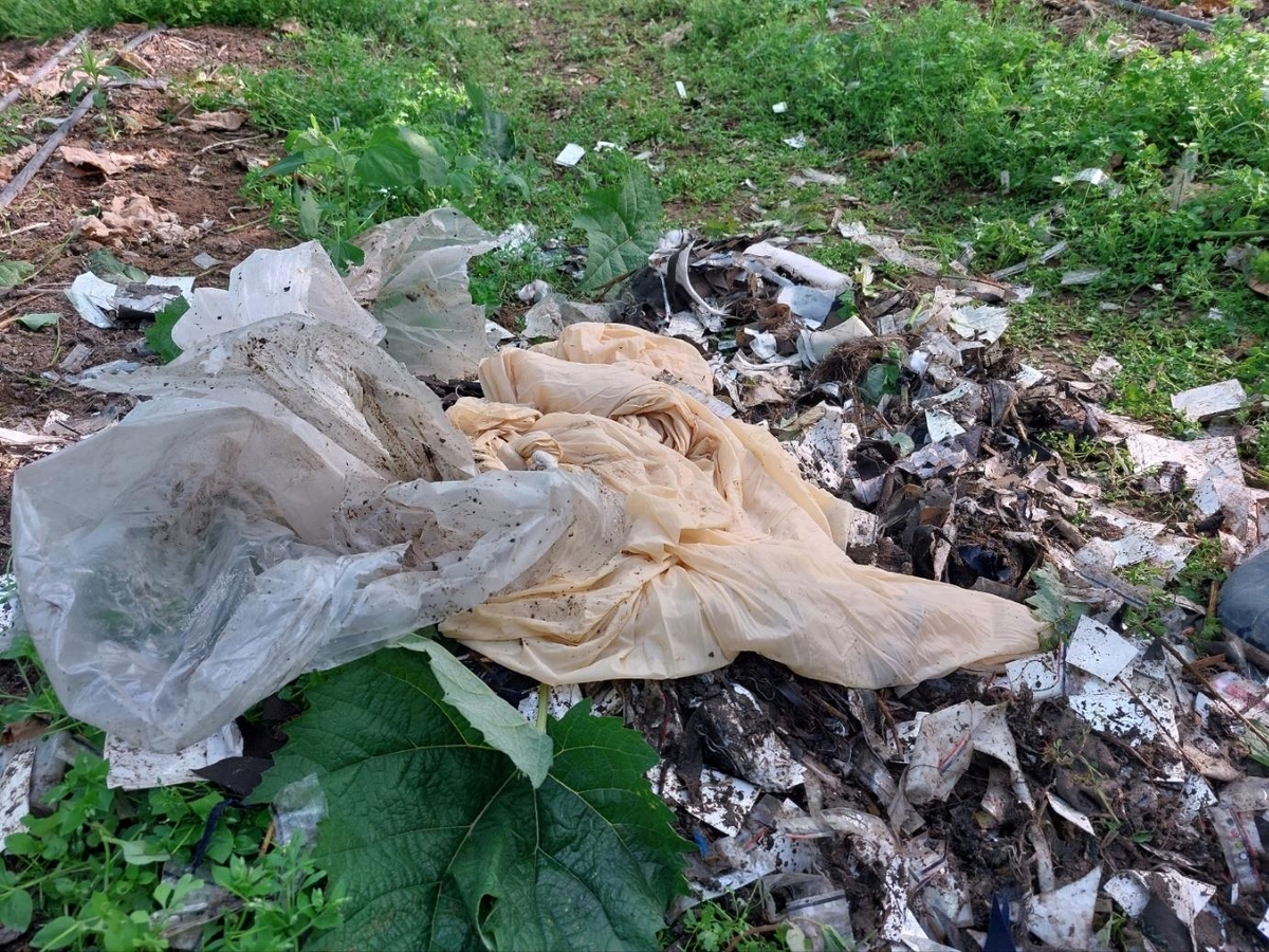 영천 포도밭서도 북한 '대남 오물 풍선' 발견…경찰·軍 조사