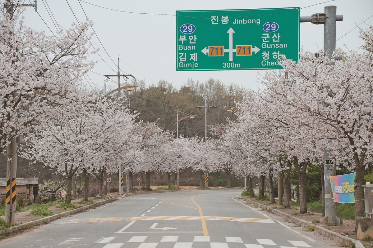 만경 능제저수지